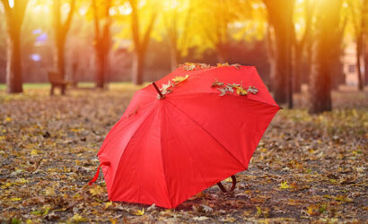 Şemsiyeyi Kim Buldu?