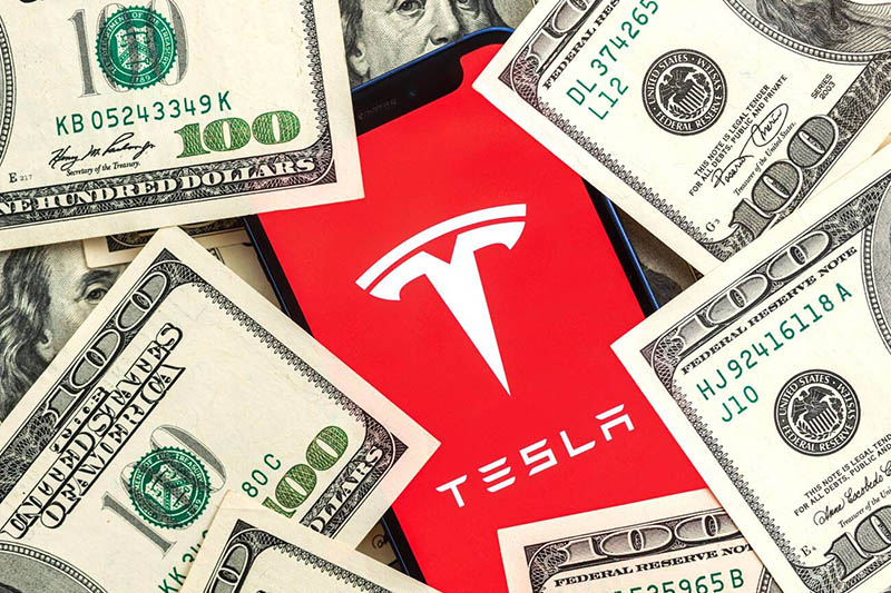 Tesla Bireysel Hissedarları